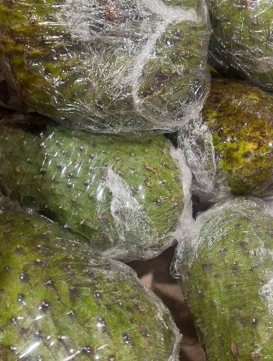 Soursop Fruit