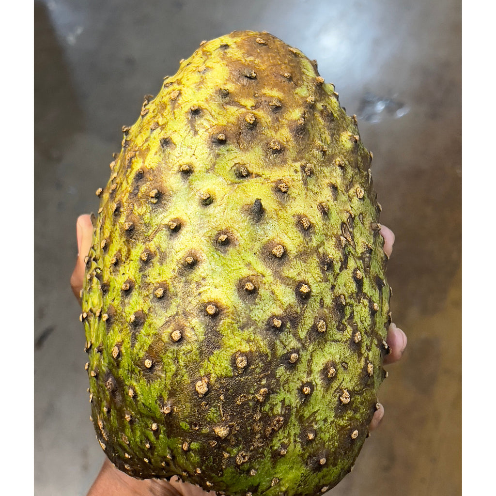 Soursop Fruit