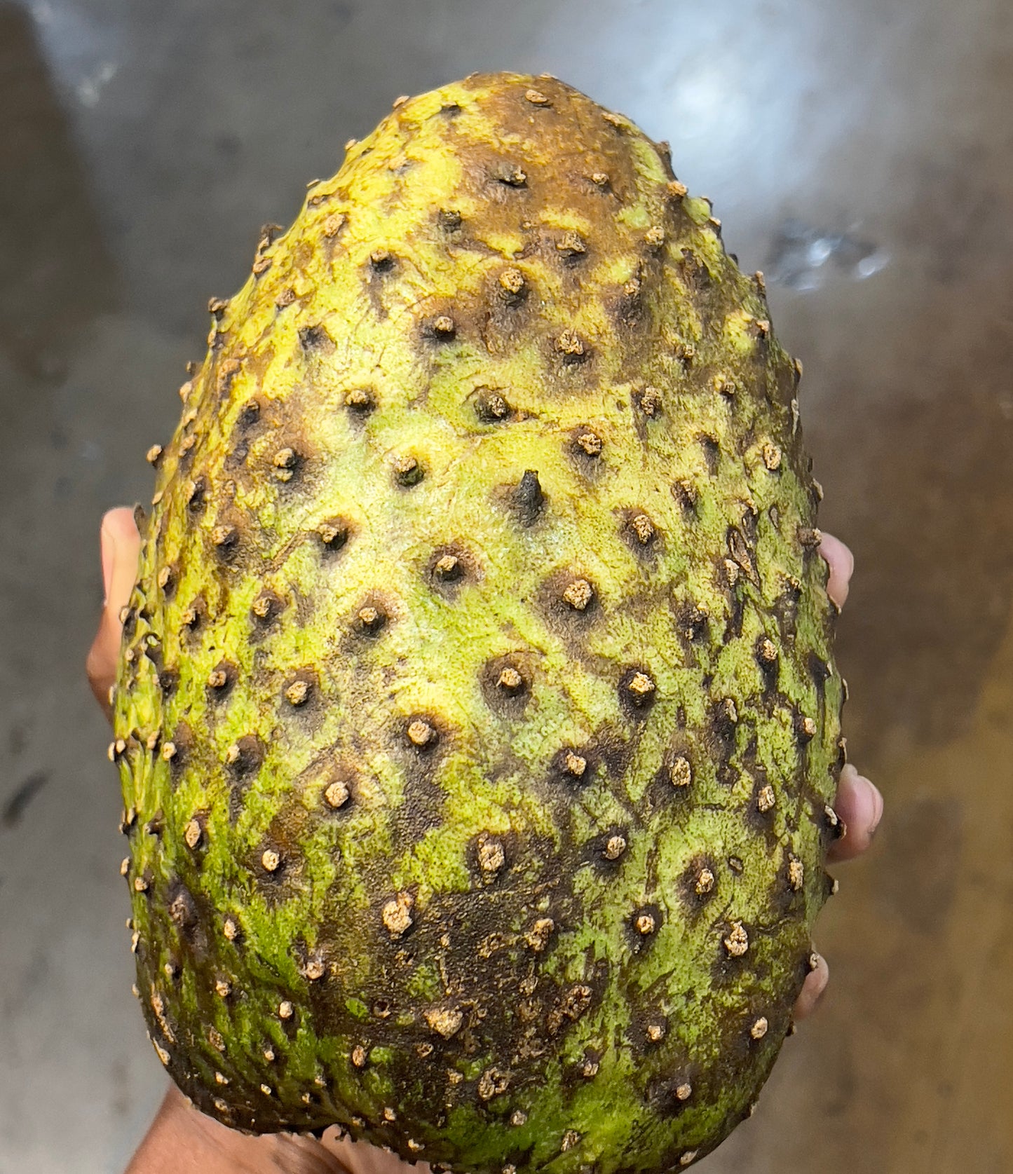 Soursop Fruit