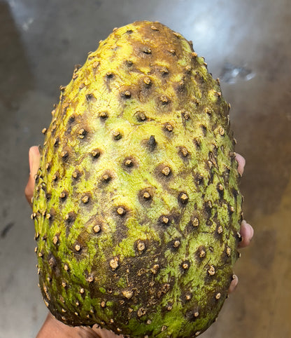 Soursop Fruit