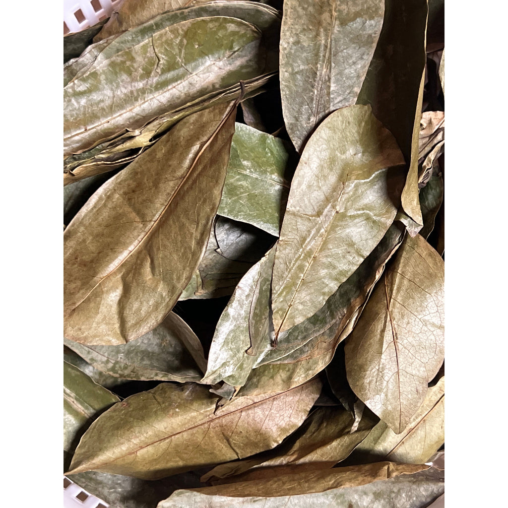 Soursop Leaves