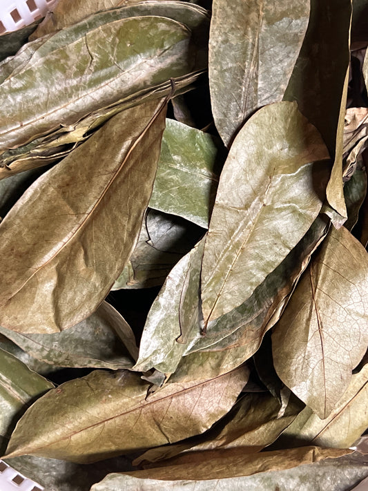 Soursop Leaves