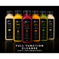 1 Day Cleanse