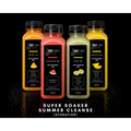 1 Day Cleanse